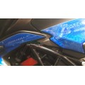 CARBONVANI - MV AGUSTA BRUTALE 800 CARBON FIBER TANK FINISHERS TRIM - PAIR (2017+) CARBONVANI - MV AGUSTA BRUTALE 800 CARBON FIBER TANK FINISHERS TRIM - PAIR (2017+)